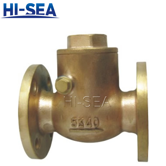 Swing Check Valve